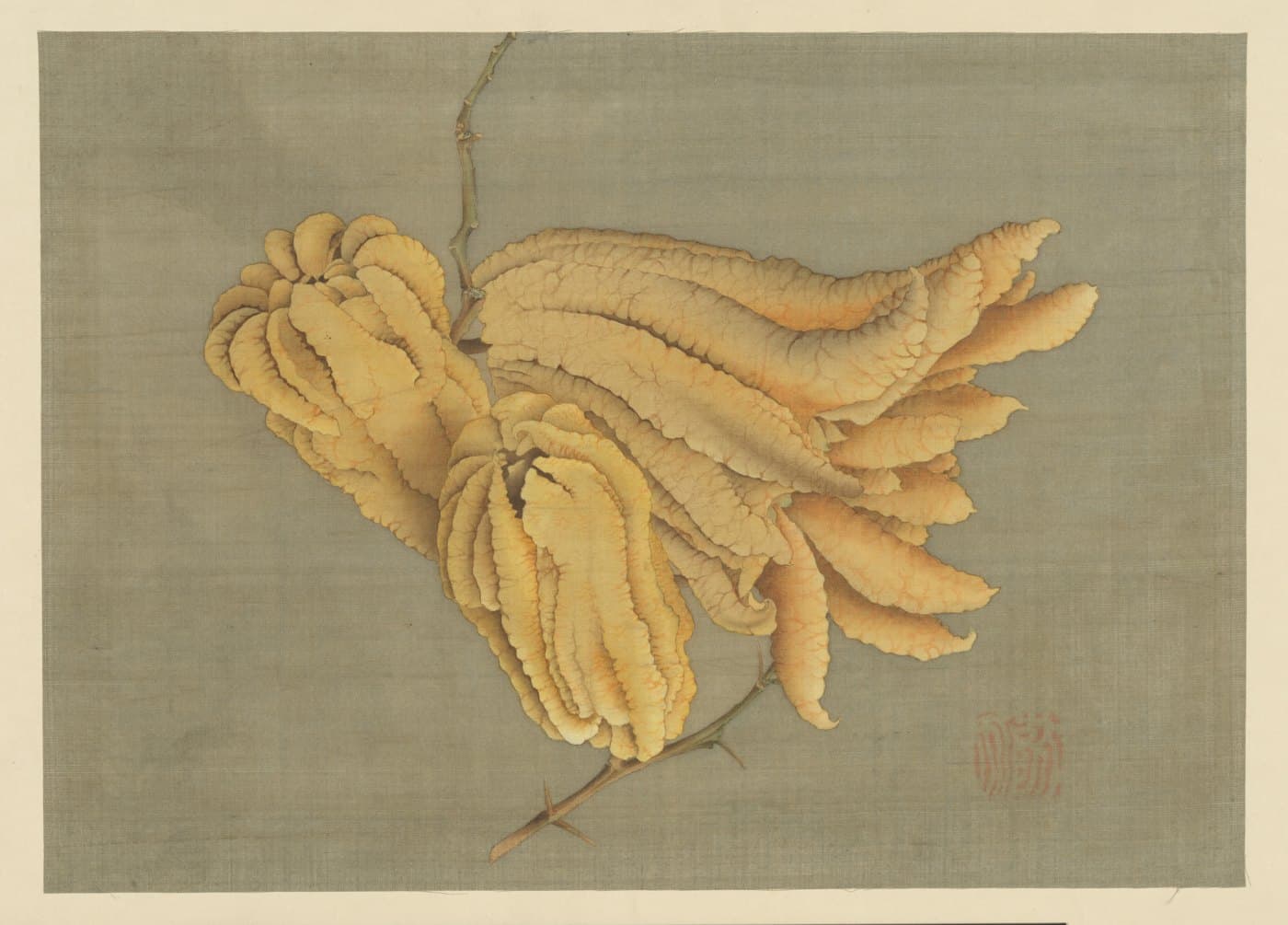A Buddha’s hand citron painted on silk. The yellow fruit, split into finger-like parts, hangs from a thorny branch