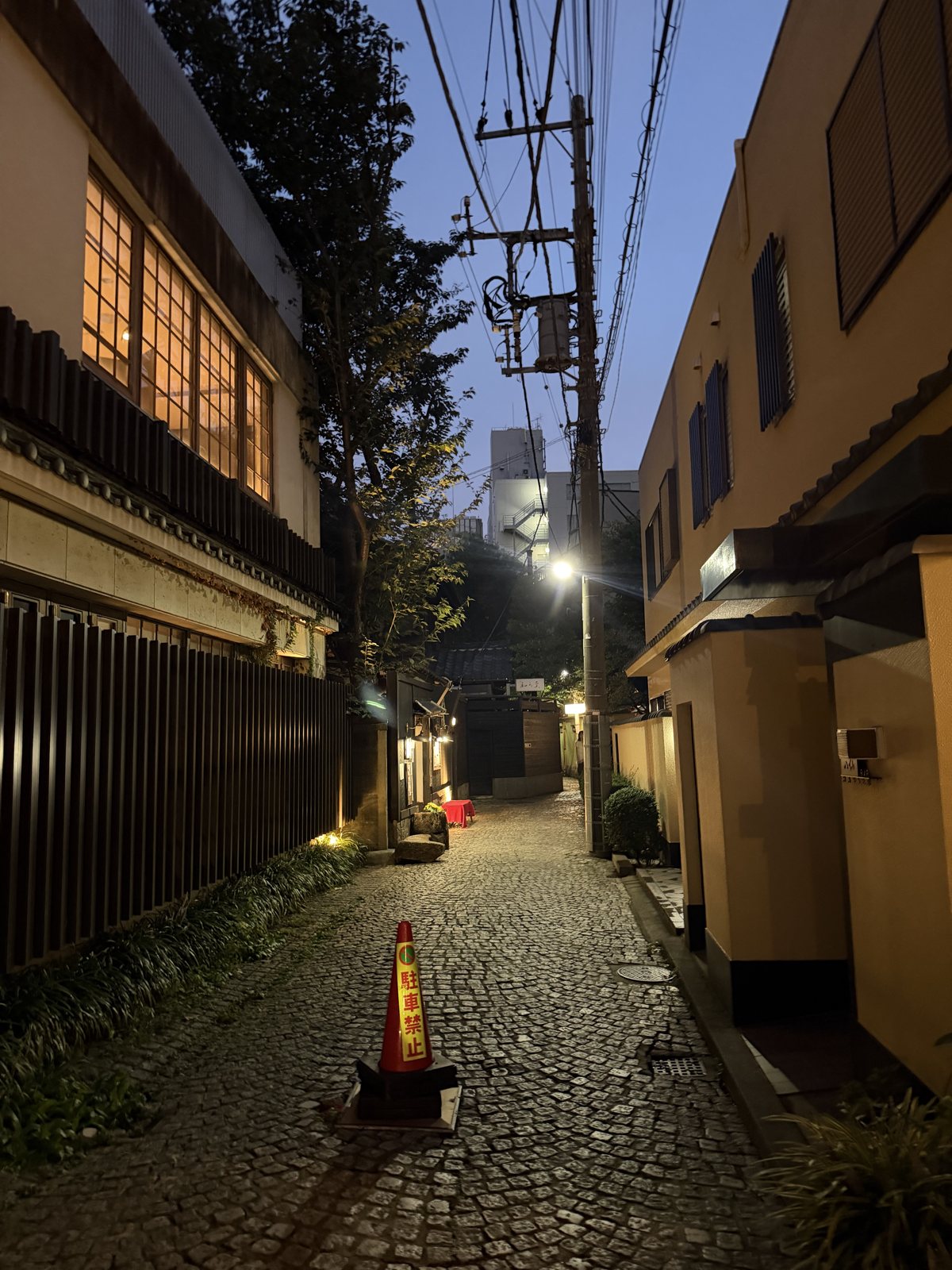 A cobbled back street in Kagurazaka at dusk.