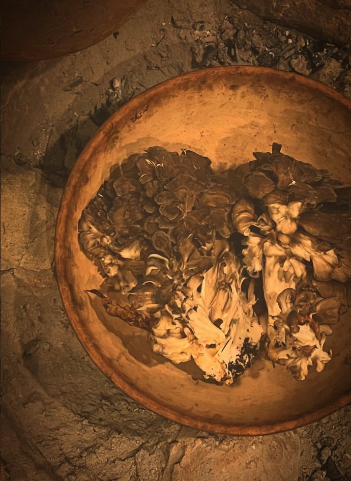 Maitake in a clay dish over the hearth.